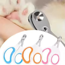 Scissors for Small Dogs Cats