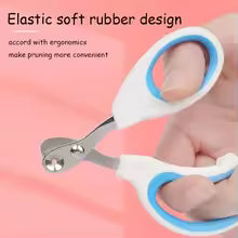 Scissors for Small Dogs Cats