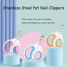 Scissors for Small Dogs Cats